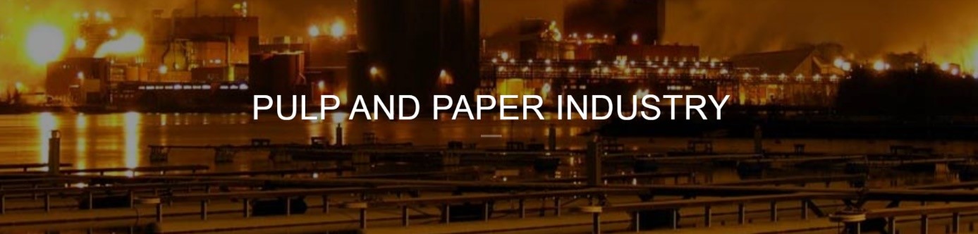 Kağıt Sektörü Gaz Debimetreleri