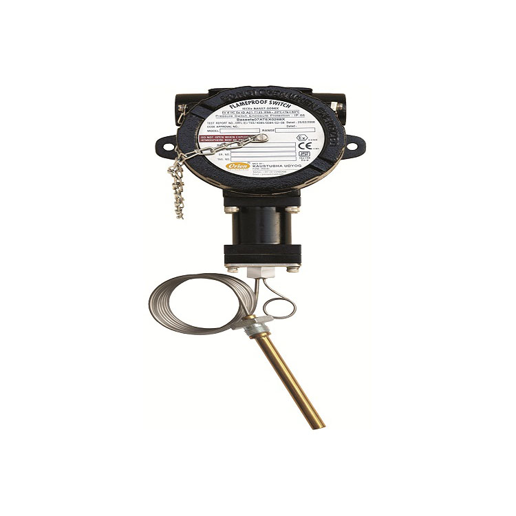 Flame Proof FE Temperature Switches
